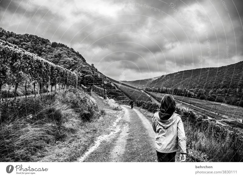 hiking day Vineyard Autumnal Seasons Rain Son Infancy Child hikers Hunsrück Moselle valley Mosel (wine-growing area) River bank Rhineland-Palatinate