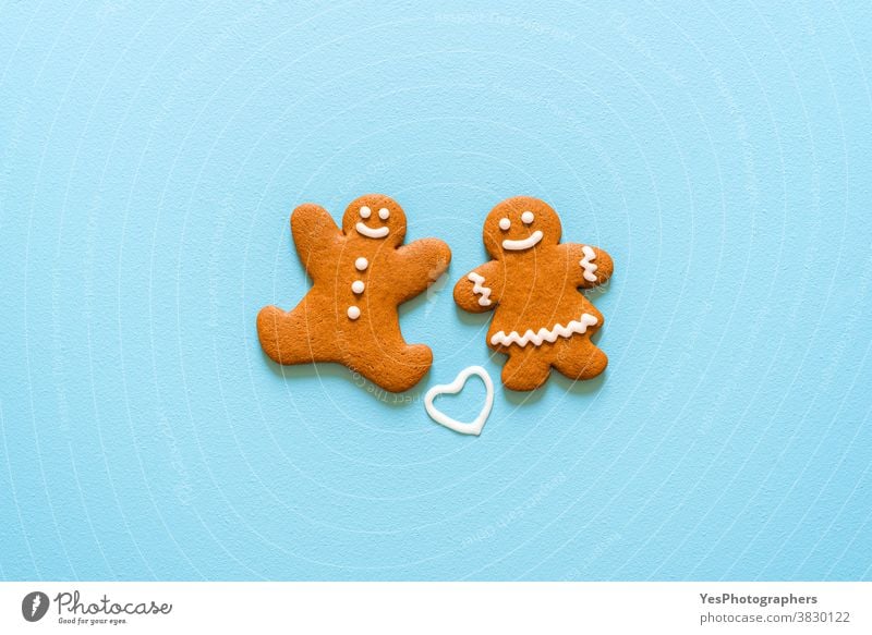 Gingerbread cookies isolated on a blue background. Christmas homemade cookies top view Christmas cookies Merry Christmas above view advent bake baked biscuit
