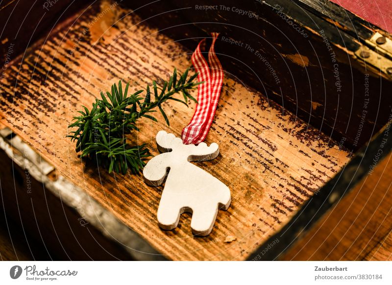 Christmas in a box - Elk and fir branch as Christmas decoration in a small wooden box Fir branch Decoration Crate Wooden box Christmas & Advent Winter Tradition