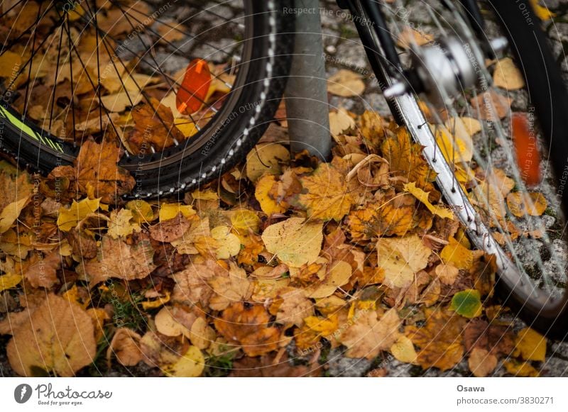 Bicycles on autumn leaves Wheel Tire Bicycle tyre front tyre Spokes Wheel rim Hub Reflector foliage Autumn Cycling smooth slippery peril Sudden fall Parking
