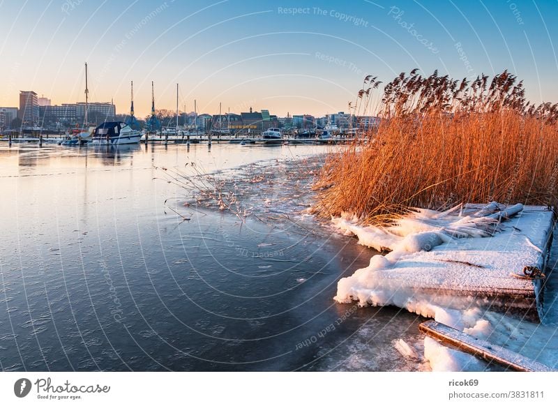 View over the Warnow to Rostock in winter Winter Town River Mecklenburg-Western Pomerania Warnov reed city harbour marina boat ship Architecture houses Building