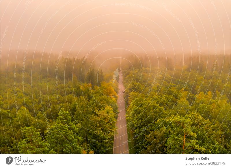 Foggy sunrise. Aerial view of a street straight through a forest at a very foggy morning, shot by a drone. mood glow dust car abstract summer nature road