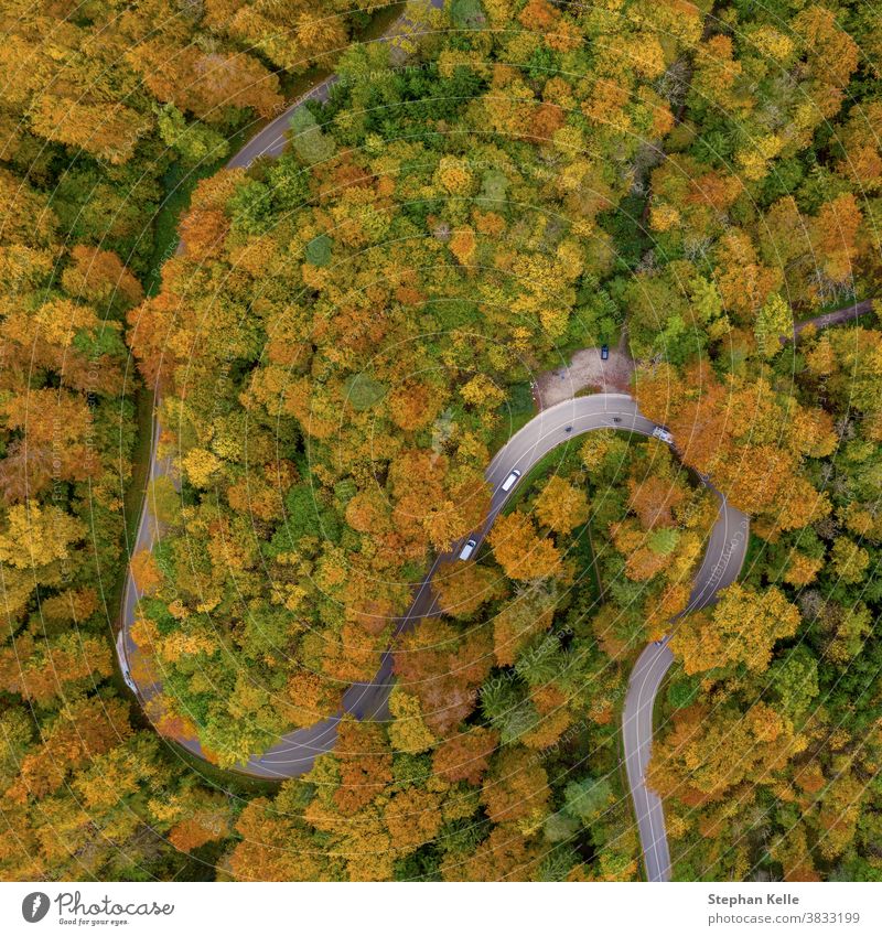 Autumn from above with a droneshot of a double curve in a colorful forest and driving cars, beautiful fall, positive emotional nature photo. autumn aerial road