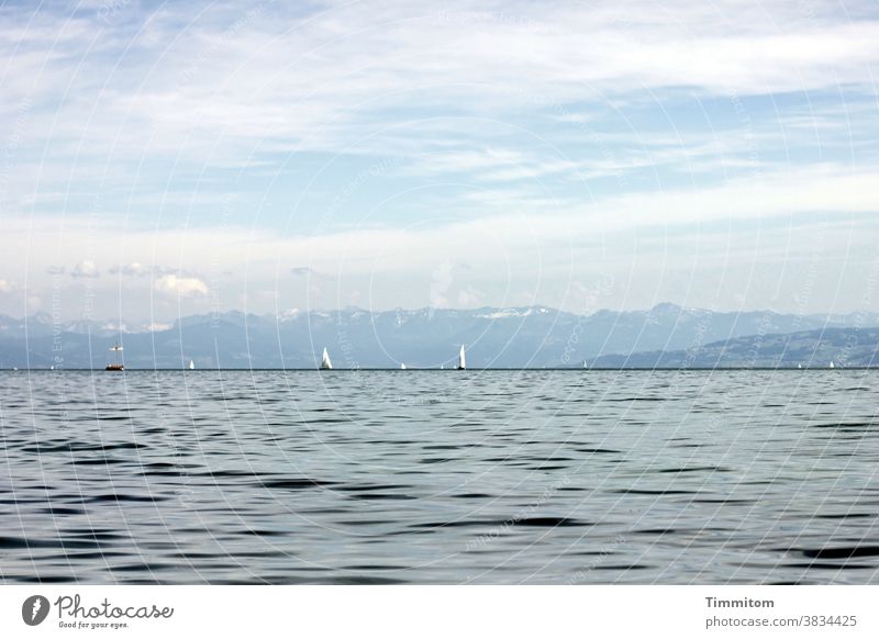 Calm scenery at Lake Constance Water Mountain Sky Clouds Beautiful weather Sailboat Vacation mood Landscape Blue Vacation & Travel Waves