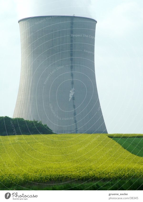 Cooling tower in rapeseed Nuclear Power Plant Canola field Spring Industry Electricity generating station