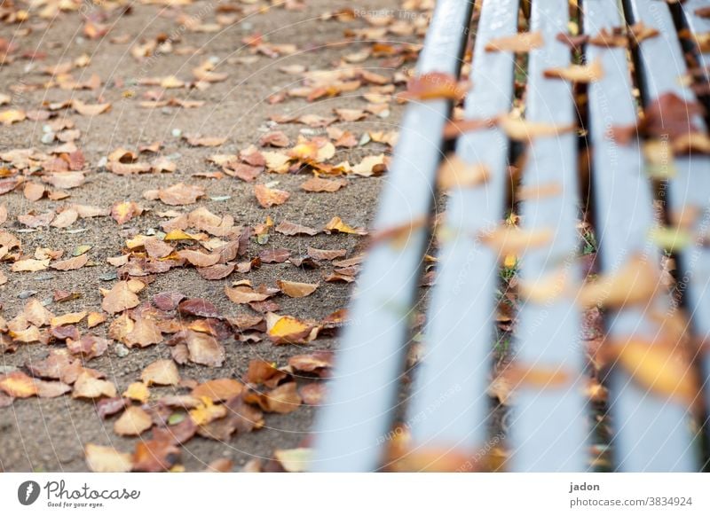 Tristesse. Autumn foliage Nature Autumnal leaves Autumn leaves Autumnal colours Leaf Exterior shot Deserted Environment Transience Early fall Change Park bench