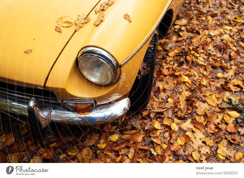 Yellow autumn leaves on yellow bonnet - Oldtimer MG Autumn Seasons autumn colours Brown car Vintage car Chrome detailed view Floodlight Bumper view from above