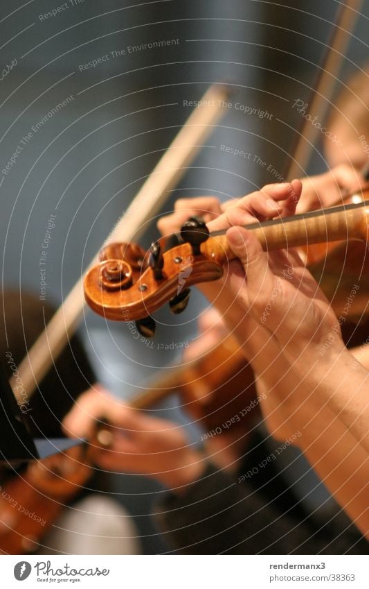 Violin in orchestra Music for the senses Luxury Leisure and hobbies Funeral service Head Hand Fingers Group Artist Stage Event Concert Orchestra Wood Movement