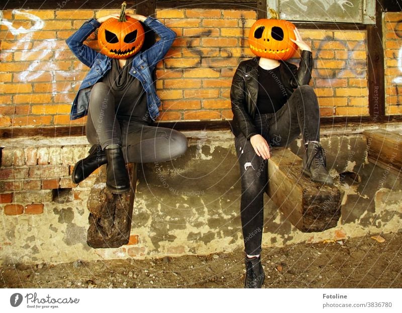 Let's hang out. - or two pumpkin-headed girls get together to chitchat Hallowe'en Pumpkin Pumpkin time Pumpkin Face pumpkin face Creepy creep grimace Grinning