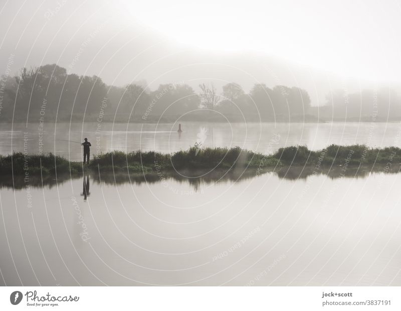 The early angler catches the fish Fishing (Angle) Landscape Sky Fog Summer River bank Oder Brandenburg Freedom Idyll Relaxation Inspiration Border area Hazy