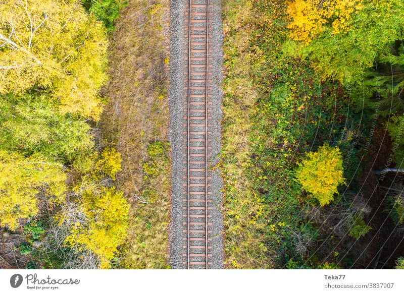 train Tracks in the forest top down from above train tacks tracks track from above train track from above forst autumn forest fall forest traffic lone alone