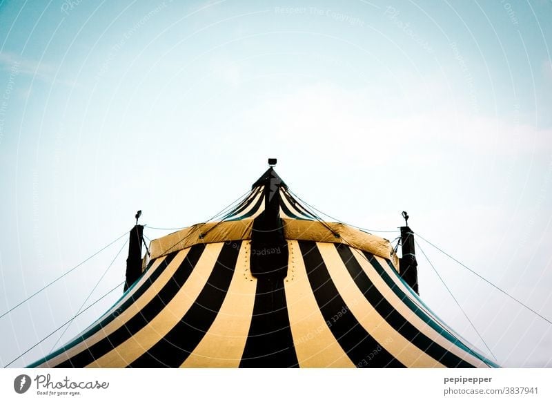 circus tents black and white