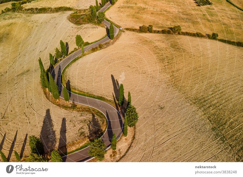 Scenic Winding Road and Crop Fields in Tuscany road Italy agriculture field rural farmland countryside winding Pienza road less travelled sunny summer idyllic