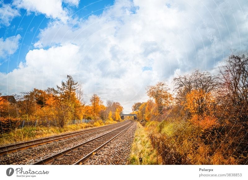 Railroad tracks going through a colorful autumn scenery tranquility way nobody curve gravel scenic path sky outdoor background sunset iron mountain countryside