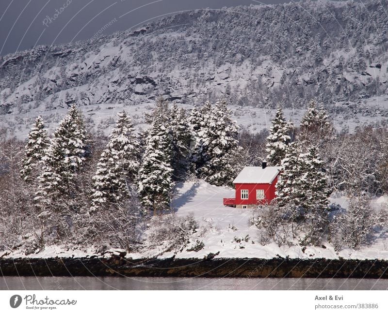 Lonely cottage Cruise Sun Mountain House (Residential Structure) Landscape Winter Beautiful weather Snow Tree Forest Coast Bright Red Peaceful Loneliness Idyll