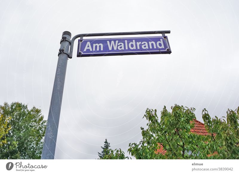 free standing street sign "Am Waldrand" in front of a house and trees in cloudy weather, from the frog's perspective At the edge of the forest street name