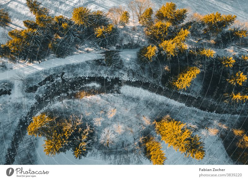 Winter forest from above Allgäu Bavaria mountains Germany drone Europe Landscape photographs Nature Schwangau Sunset TopDown Forest Winter 2020