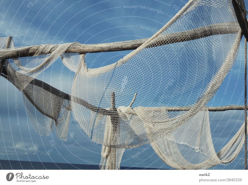 old fishing net with ropes hanging on a white wall - a Royalty