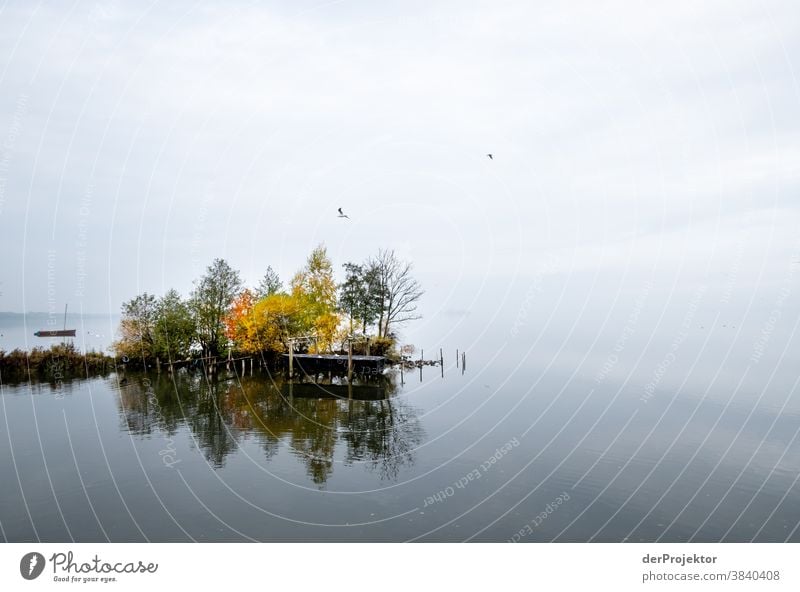 Quiet lake at the Steinhuder Meer with boat Landscape Trip Nature hike Environment Hiking Plant Autumn Acceptance Trust Belief Experiencing nature Autumnal