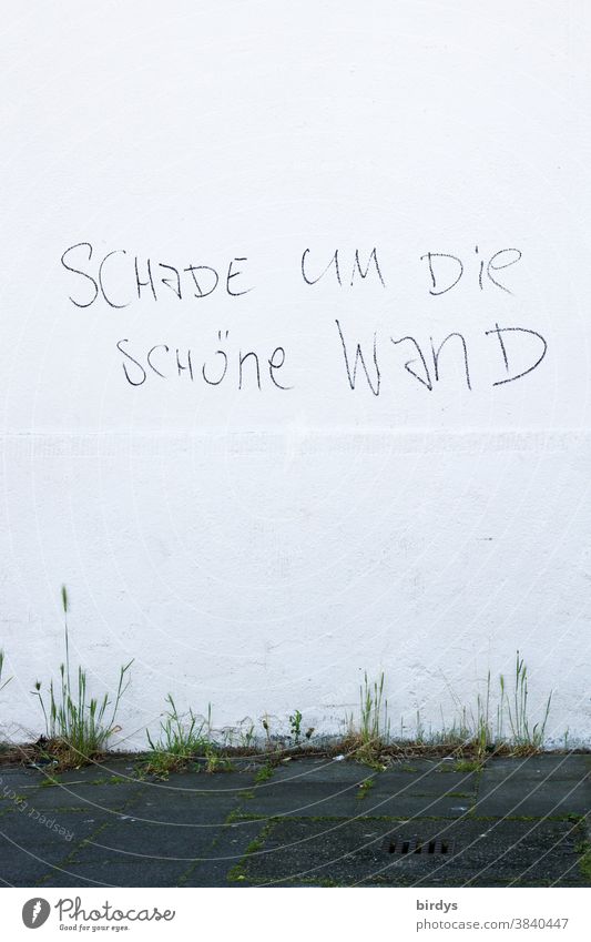 cynical inscription on a white house wall, "too bad about the beautiful wall" provocation Characters Cynical Funny Vandalism Fresh White Wall (building)