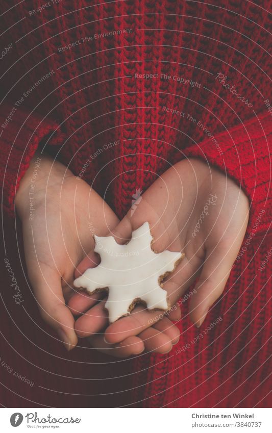 A white Christmas cookie in the shape of a snowflake in the hands of a young woman in a red knitted sweater. Close up of the hands with the sweater as background.