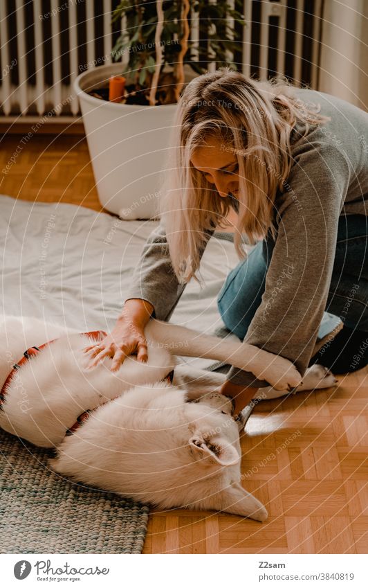 Young woman playing with her dog Dog Shepherd dog White Affection Love Pet Cuddling Caress Playing Friendship Together Happy Colour photo Animal Cute Embrace