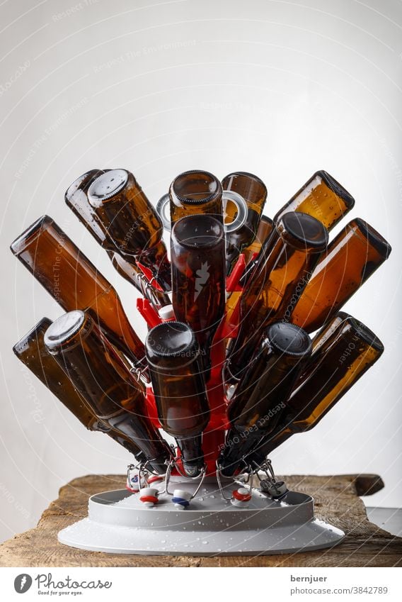 Drying washed beer bottles Wash Laundered Bottle of beer Pillar bottle stand brew Brown Refreshment Glass Beer Beverage White transparent Close-up Drinking