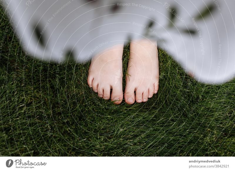 top view close up of child's bare feet on the green grass, concept of nature summer childhood girl foot baby little happy beautiful spring fun people park