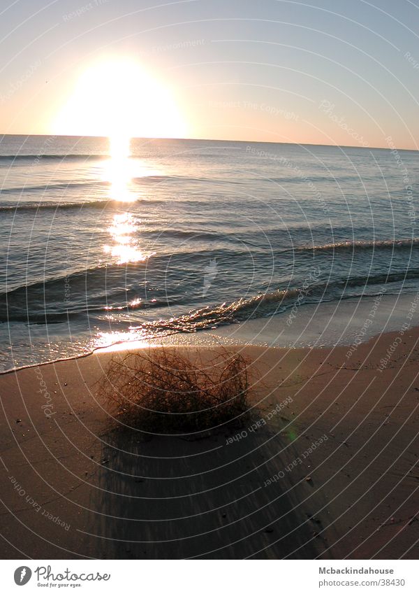 sun shadow Sunrise Ocean Beach Bushes Loneliness Vacation & Travel Calm Light Waves Shadow Empty Peace Blue