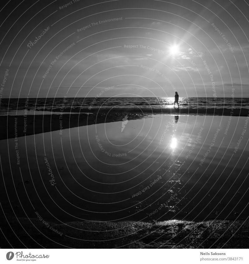 lonely woman walking by Baltic sea beach in midsummer sunset over the water. Black and white. Everyday life anonym anonymous back behind evening female go going