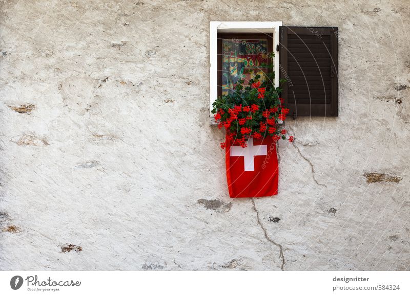 let out Plant Flower Pot plant Flowerpot Window box Geranium Canton Tessin Switzerland House (Residential Structure) Detached house Hut Manmade structures