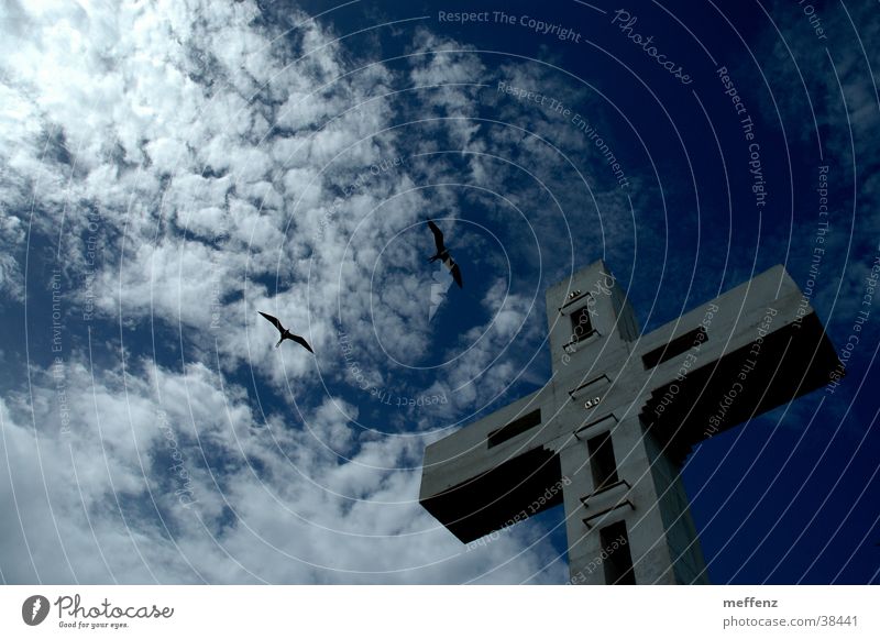 cross flight Swallow Crucifix Religion and faith House of worship Back albatross