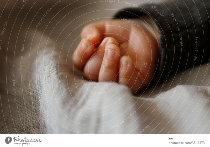 The light of this world Baby Child Hand Toddler Fingers Small Close-up 0 - 12 months Detail infant