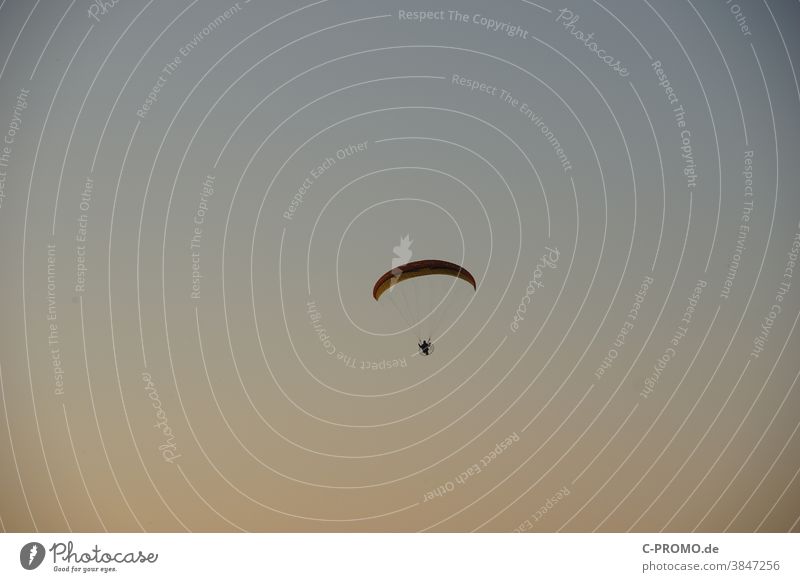 Paraglider pilots in the evening sky against the light paraglider pilot Paramotor Sky Evening Flying Backpack motor Aircraft