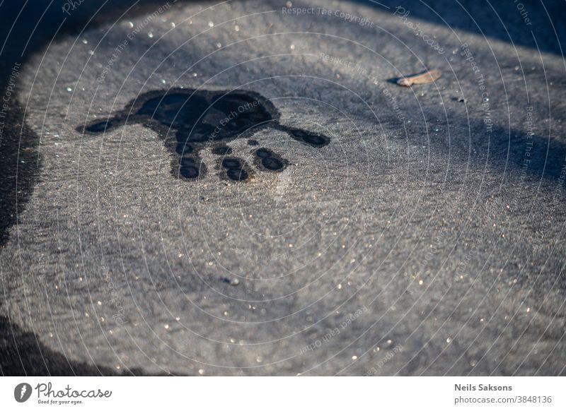Hand trace on the frozen winter granite surface. Handprint in ice. abstraction background beautiful blue cold design fingerprint fingers frost glass hand