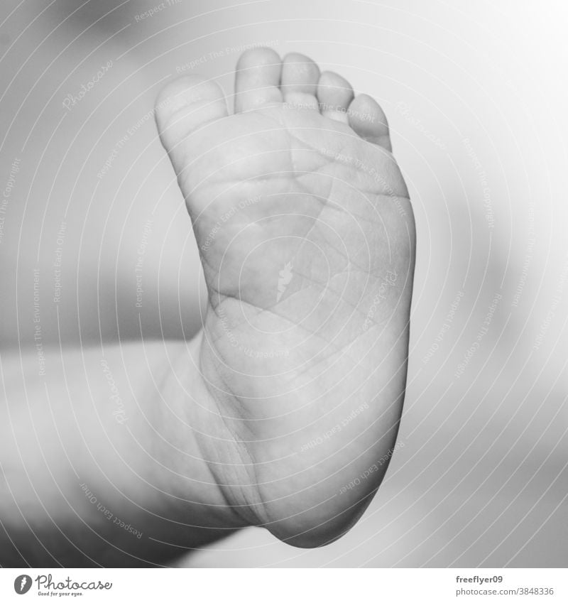 Detail of a toe of a newborn - a Royalty Free Stock Photo from Photocase