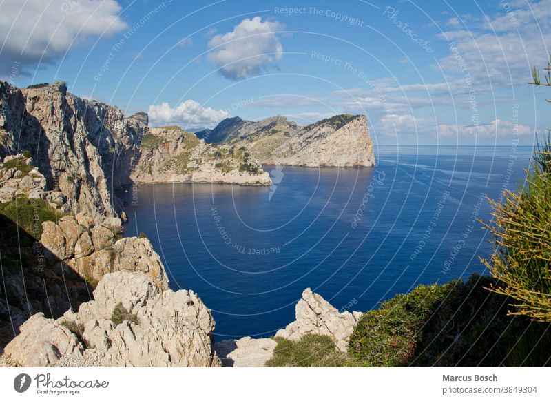 Mallorca, Spain Cap de Formentor Cap de form gate Rock Mediterranean region majorca Majorca Blue blue cliff cliff line coast mediterranean area Ocean