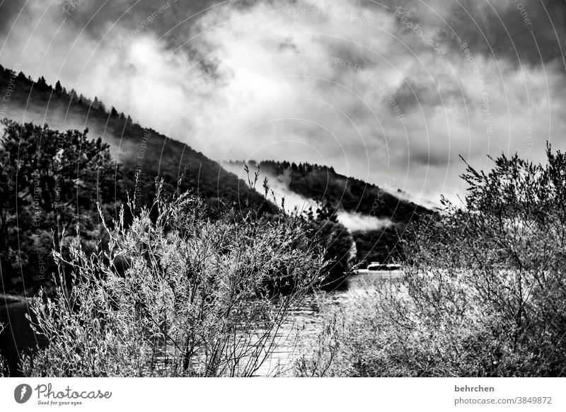 cloud forest melancholically melancholy Impressive Dark Dramatic Vacation & Travel Forest Black & white photo Hiking Nature Exterior shot Environment Clouds Sky