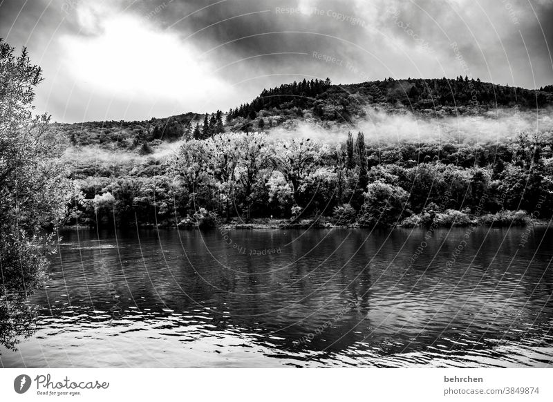 cloud heart Seasons Autumnal Rain Hunsrück Rhineland-Palatinate River bank Mosel (wine-growing area) Moselle valley tranquillity Idyll Adventure Landscape