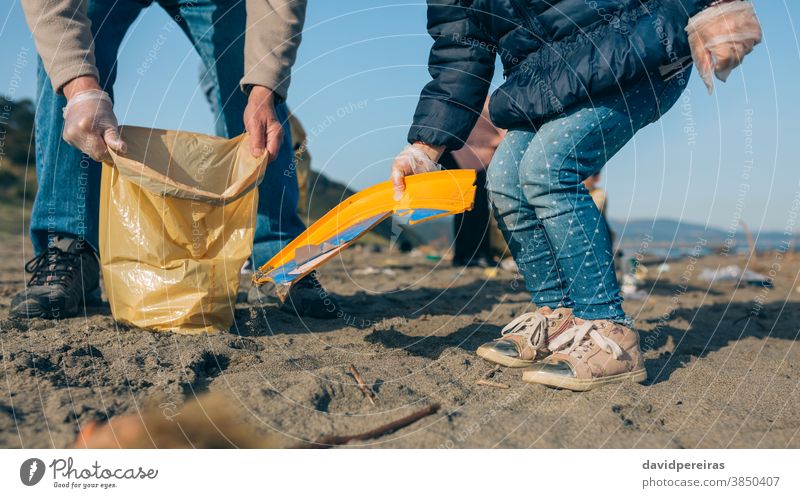 Volunteers cleaning the beach ecological conscience unrecognizable granddaughter grandfather picking up trash helping garbage bags volunteering