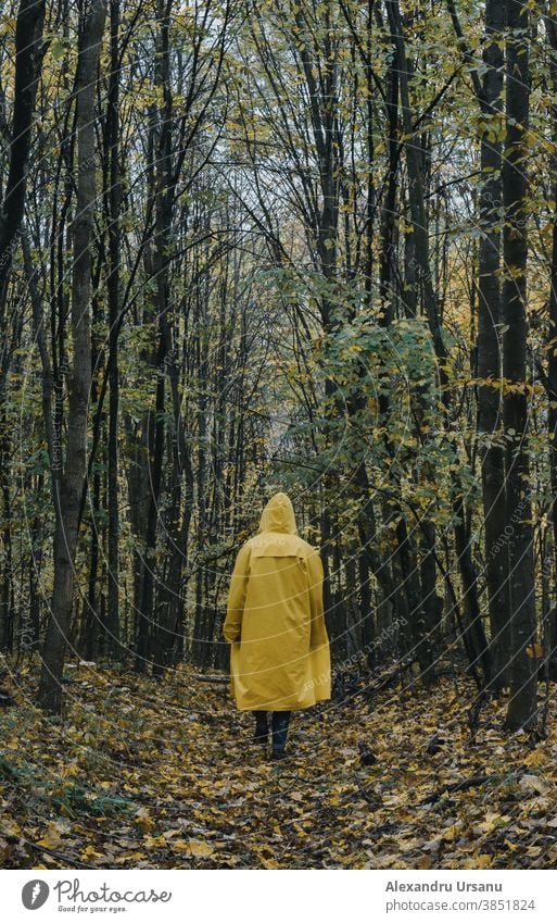 Dark yellow outlet jacket