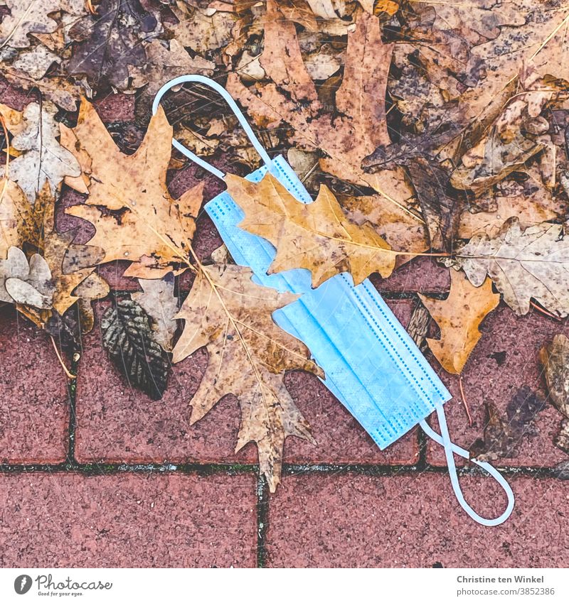 Discarded blue medical face mask lies between wet and dirty leaves on the red pavement. Close up. top view | corona thoughts medical mask Face mask Mask