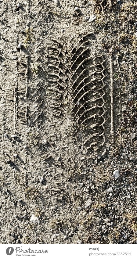 At that time during a walk, tire tracks with a clear profile in the dirt Skid marks Lanes & trails Frost Autumn run sb./sth. over Tire tread Subdued colour