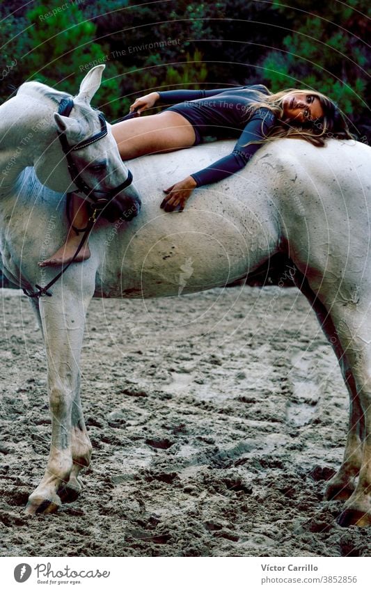 Young beautiful girl with white horse in forest. Woman horseback rider in boho style. Summertime nature scene. Fashion animal attractive beauty caucasian