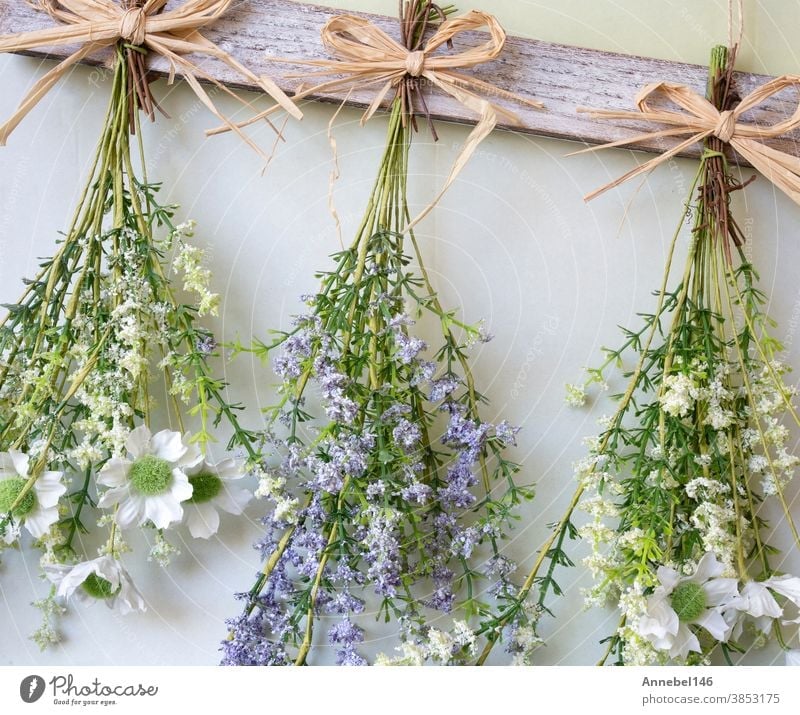 Various bright bouquet of dried flowers hanging on rope against wooden background, making dried flowers modern decoration for home interior nature beautiful dry