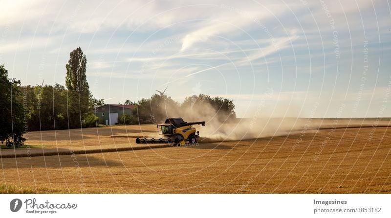 Combine harvester working in a wheat field. Rays of the sun, harvesting the wheat. Agriculture. Landscape Panorama Web Banner Wheatfield Sunbeam Harvest