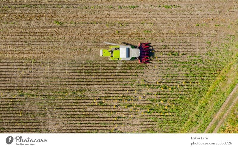 Above view on combine, harvester machine, harvest ripe sunflower Agricultural Agriculture Agronomy Cereal Combine Country Crop Cultivated Cultivation Cut Dry