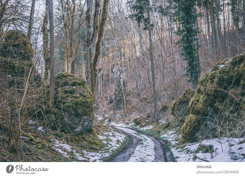 Forest path with residual snow - Forest path with residual snow in spring. way track dirt road forest sunken road sunken path hollow way lane landscape nature