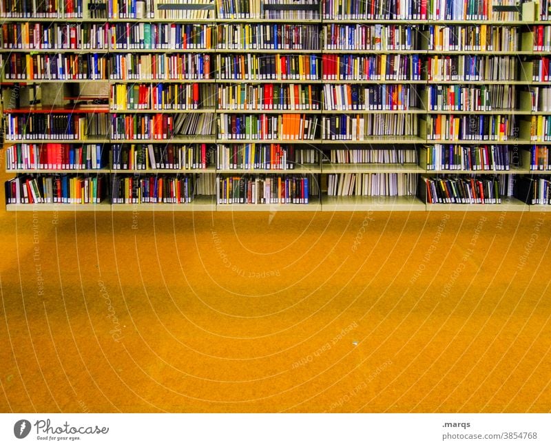 library Education Academic studies Library Book Adult Education Many Arrangement Shelves Study Print media Multicoloured reference book Yellow Floor covering