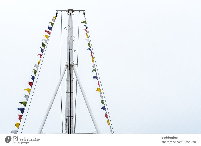 Ship's mast flagged with pennants against a hazy sky ship's mast Sailing ship shipping Ocean Water Exterior shot Sky Baltic Sea